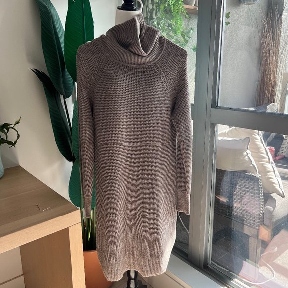 Wilfred Tops - Aritzia Wilfred Free Bianca 100% Merino Wool SweaterDress | Small